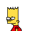 janelesurf