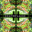 IIPixesGamerII335