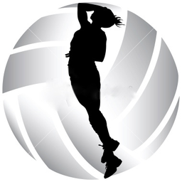 volleyballnumberone
