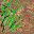 Sprite #123759