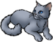Grey Cat
