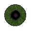 An eyeball