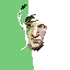 Sprite #142339