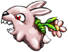 rabbit