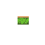 grass_tile