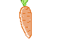 carrot