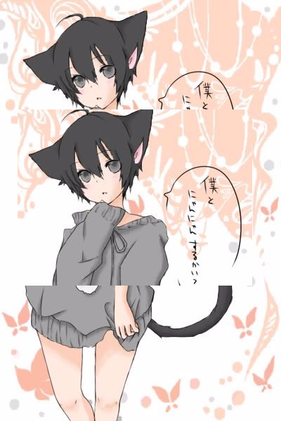 nekooo