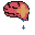 brain3