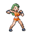 trainer