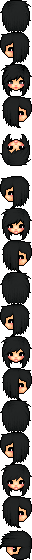 ris
