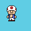 mario bross