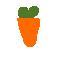 IT hw - carrot