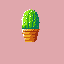 cute lil cactus
