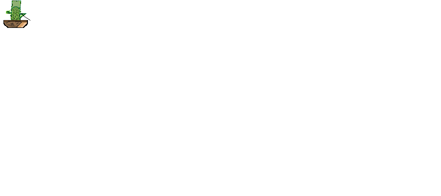 cactu