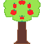 apple tree