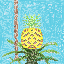 Ananas Pflanze