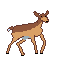 a simple medium sized deer