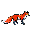 Fox Walking 3