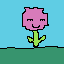 pixet afnan