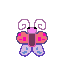 schmetterling