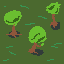 Some trees