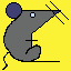 RAT_019