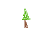 tree 1