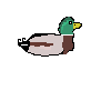 Sprite #241043