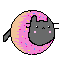 Pusheen Cat donut