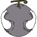 elephant fruit
