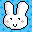 Bunny Love