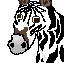 Sprite #72155